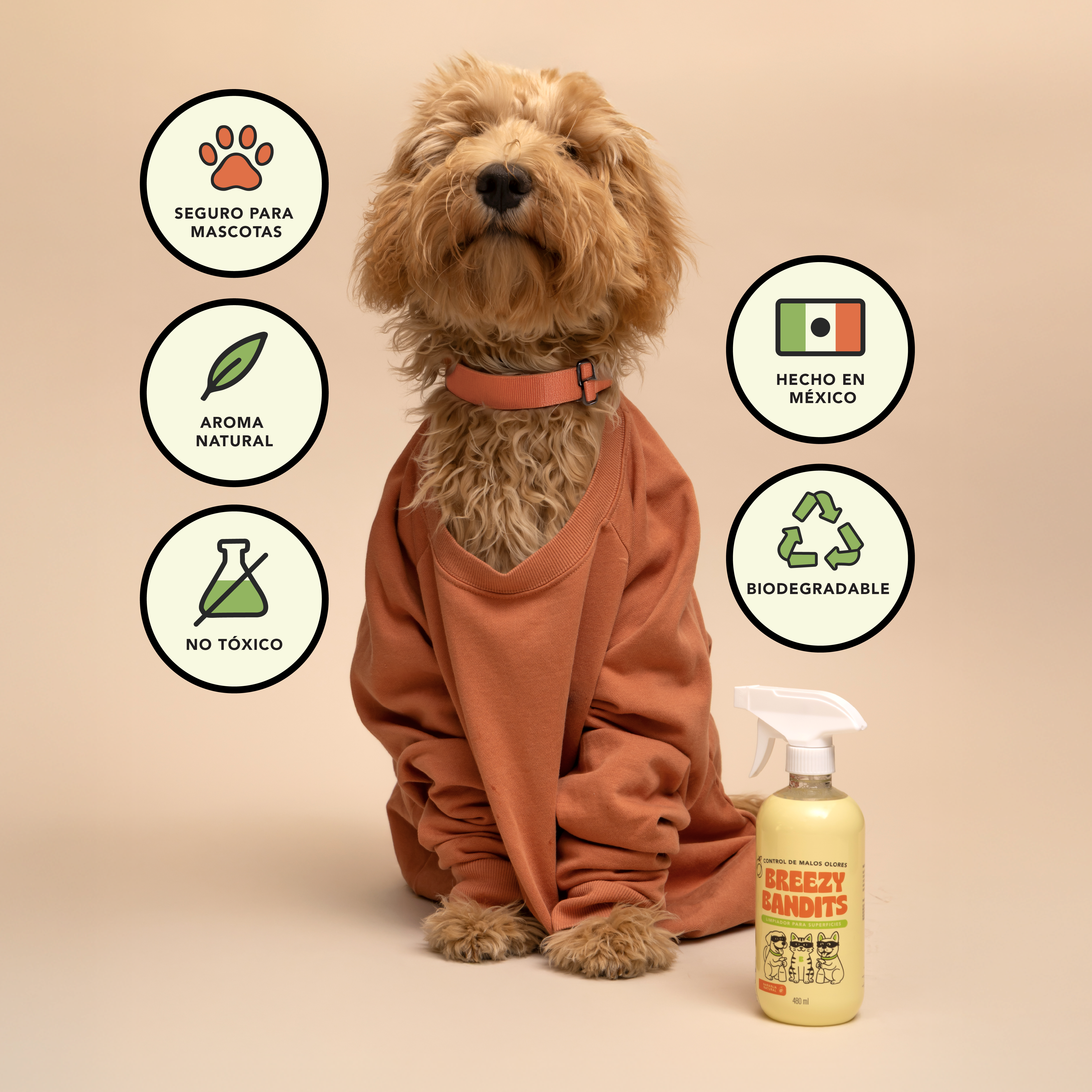 Starter Kit Anti-Olor: Limpia y Aromatiza