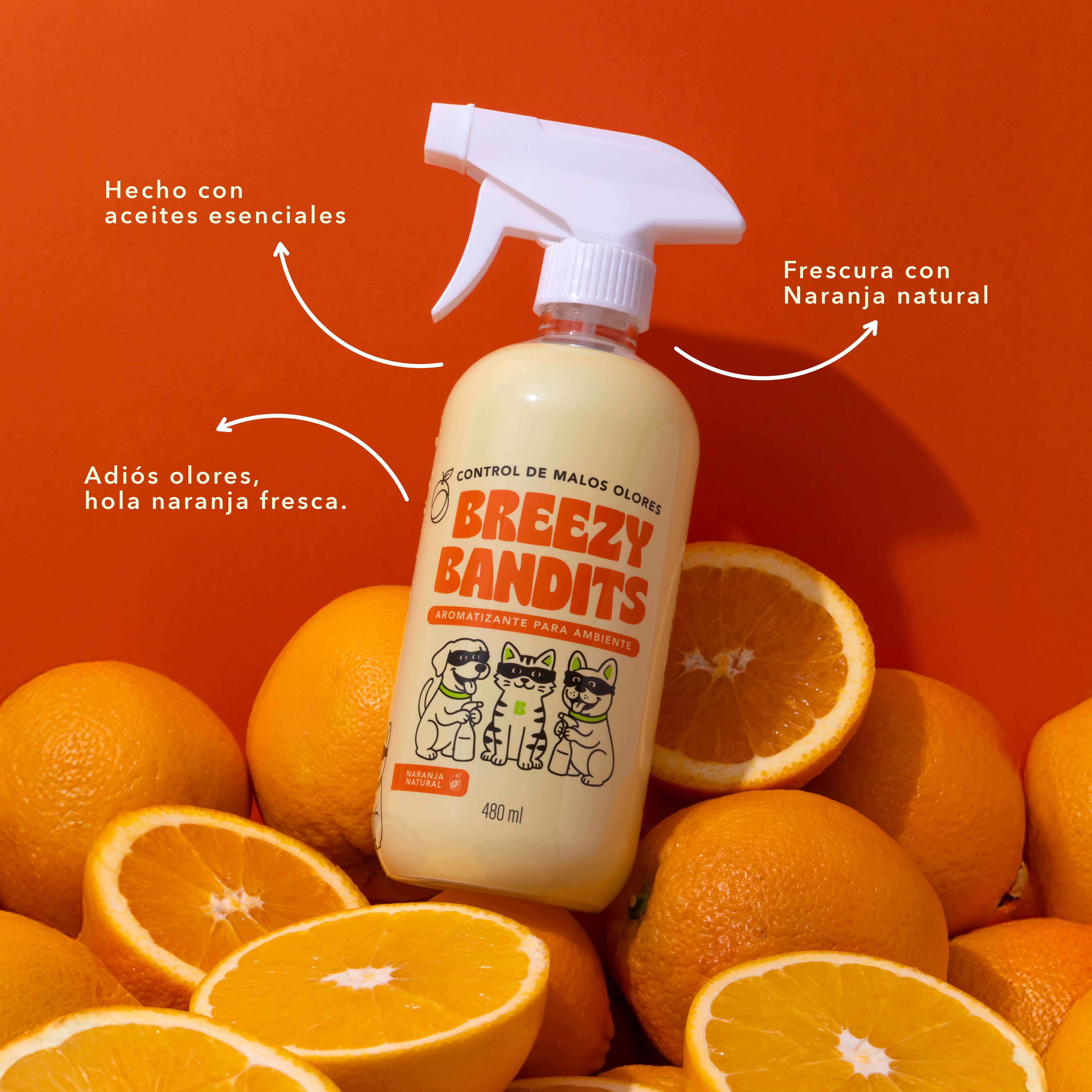 Starter Kit Anti-Olor: Limpia y Aromatiza