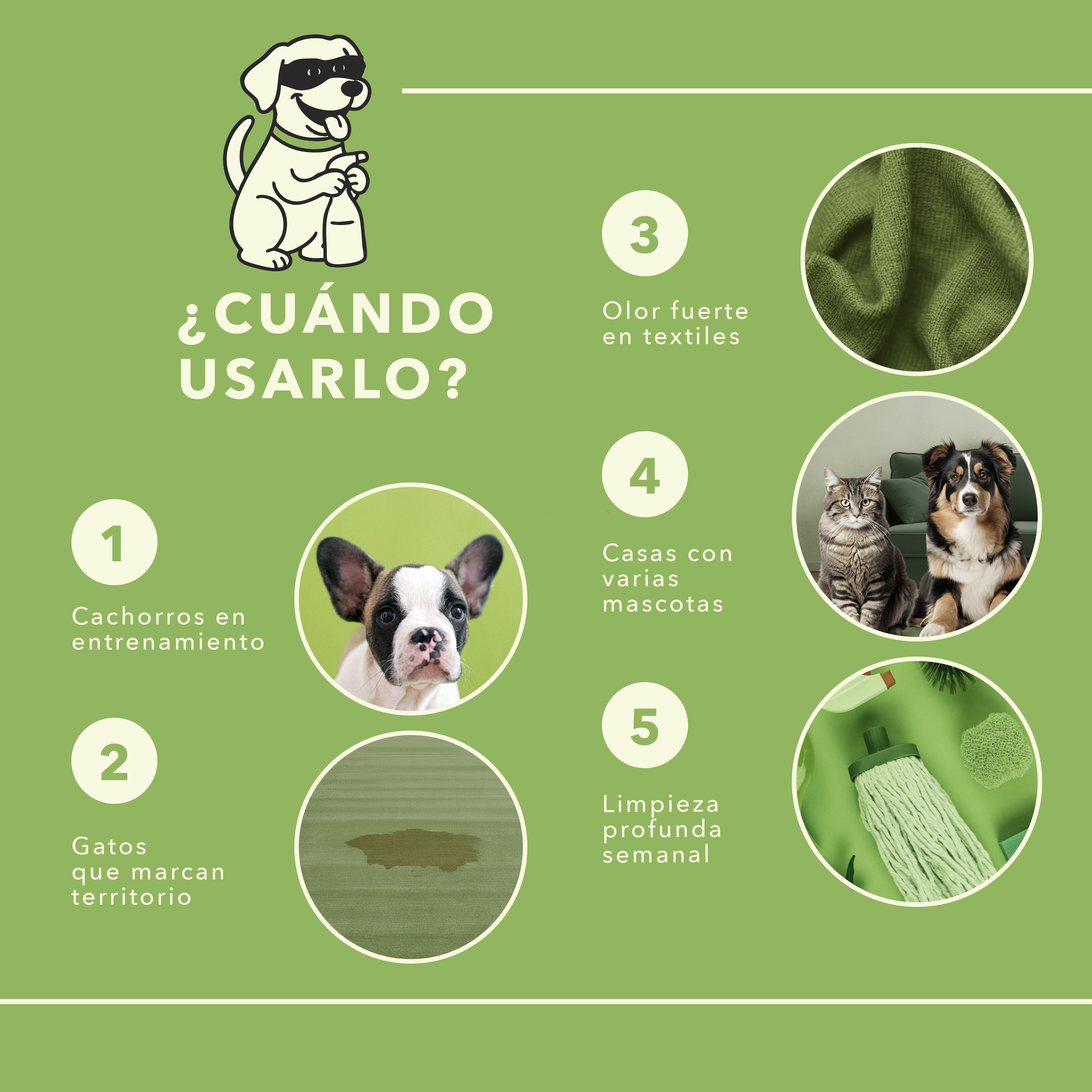 Starter Kit Anti-Olor: Limpia y Aromatiza