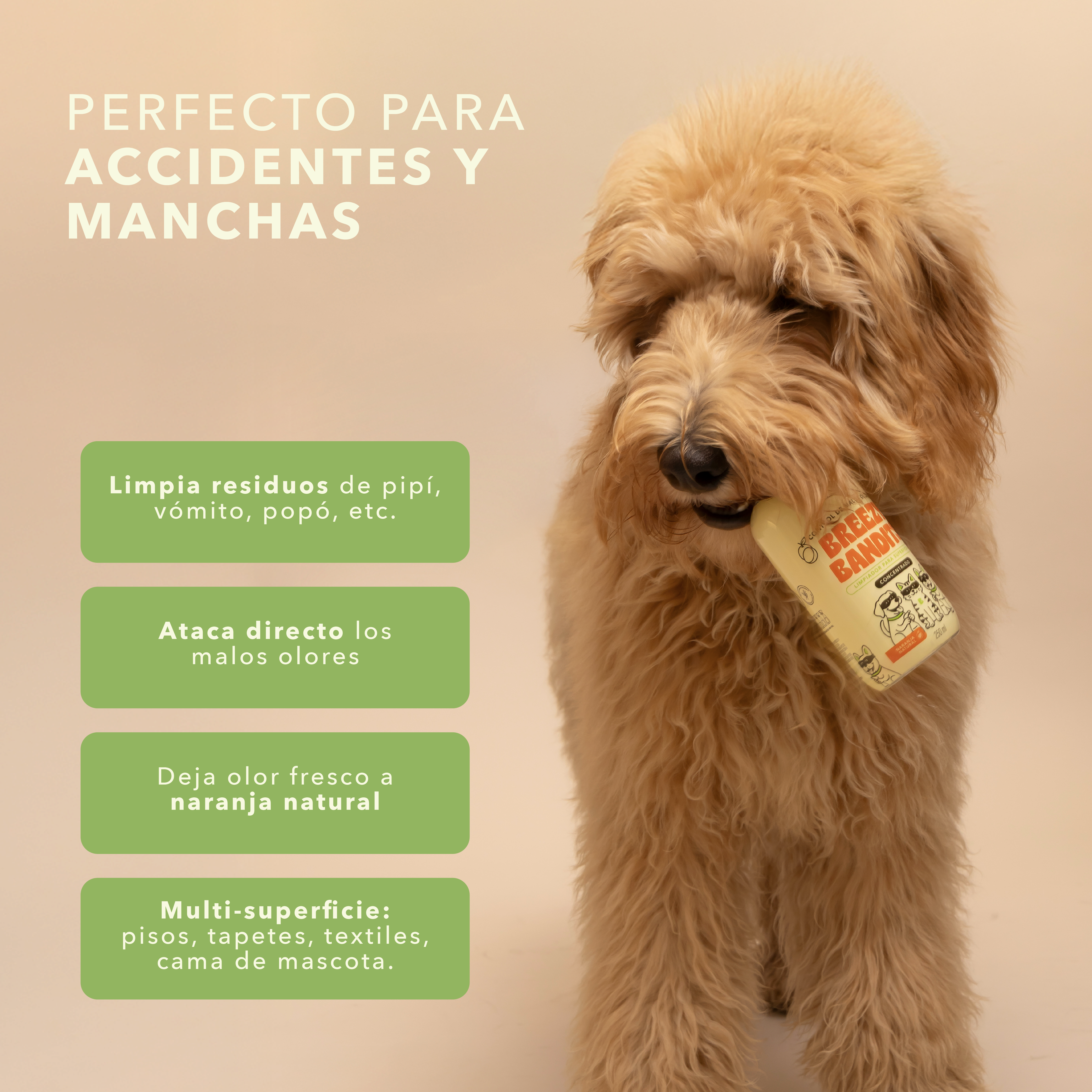 Starter Kit Anti-Olor: Limpia y Aromatiza