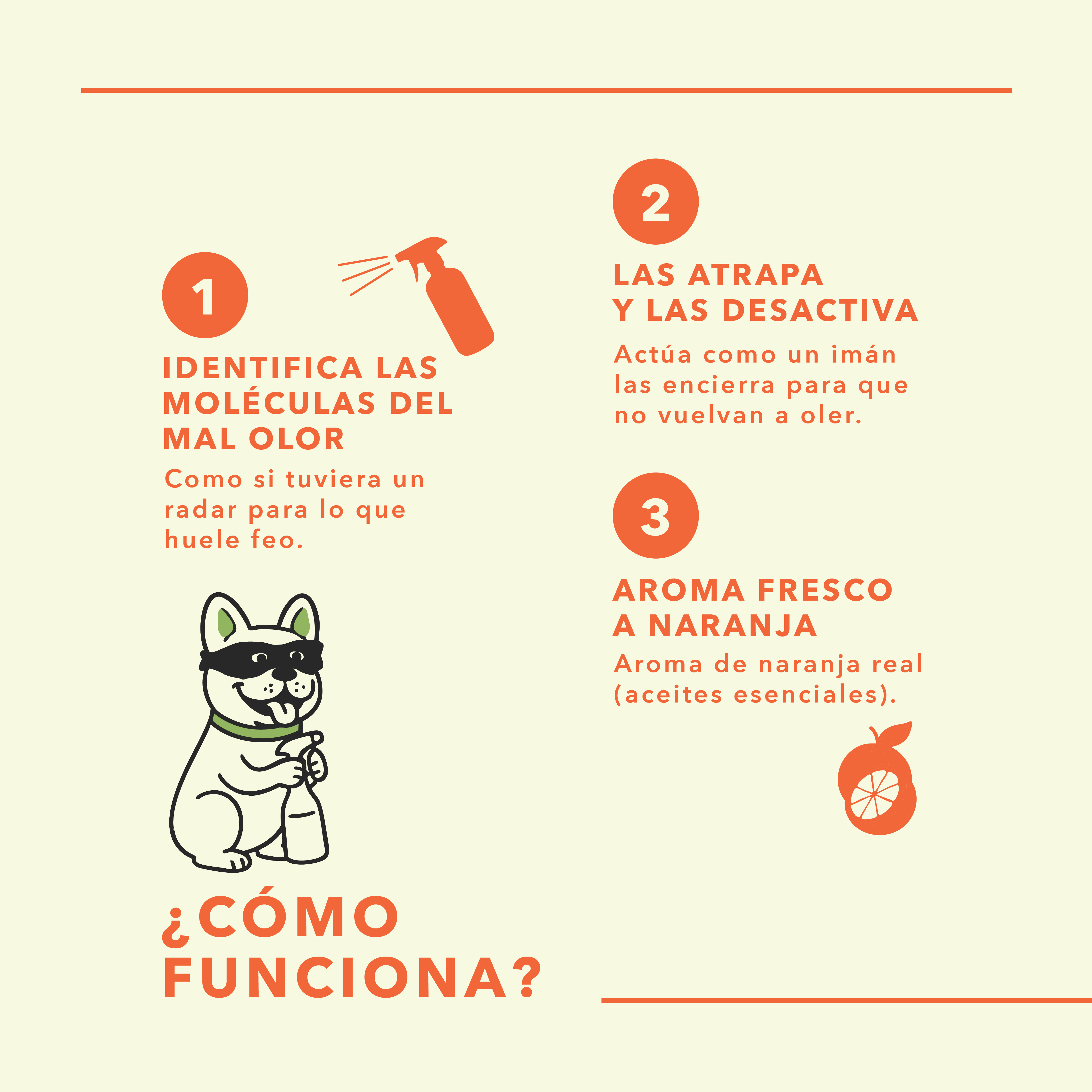 Starter Kit Anti-Olor: Limpia y Aromatiza