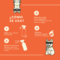 Starter Kit Anti-Olor: Limpia y Aromatiza