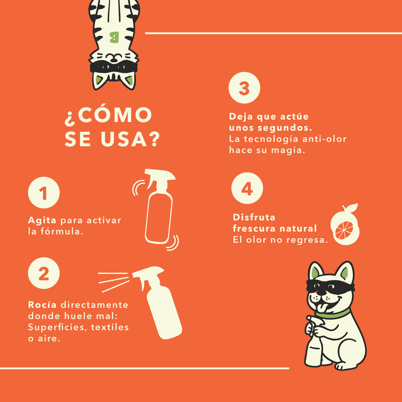 Starter Kit Anti-Olor: Limpia y Aromatiza