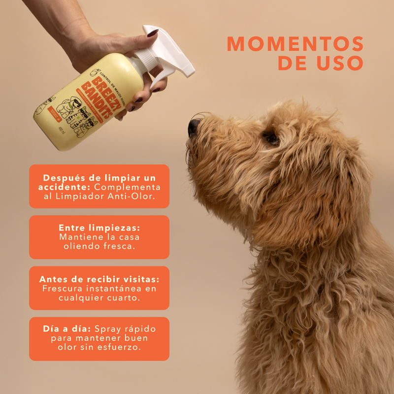 Aromatizante Anti-Olor (Neutraliza + Refresca) 480 ml