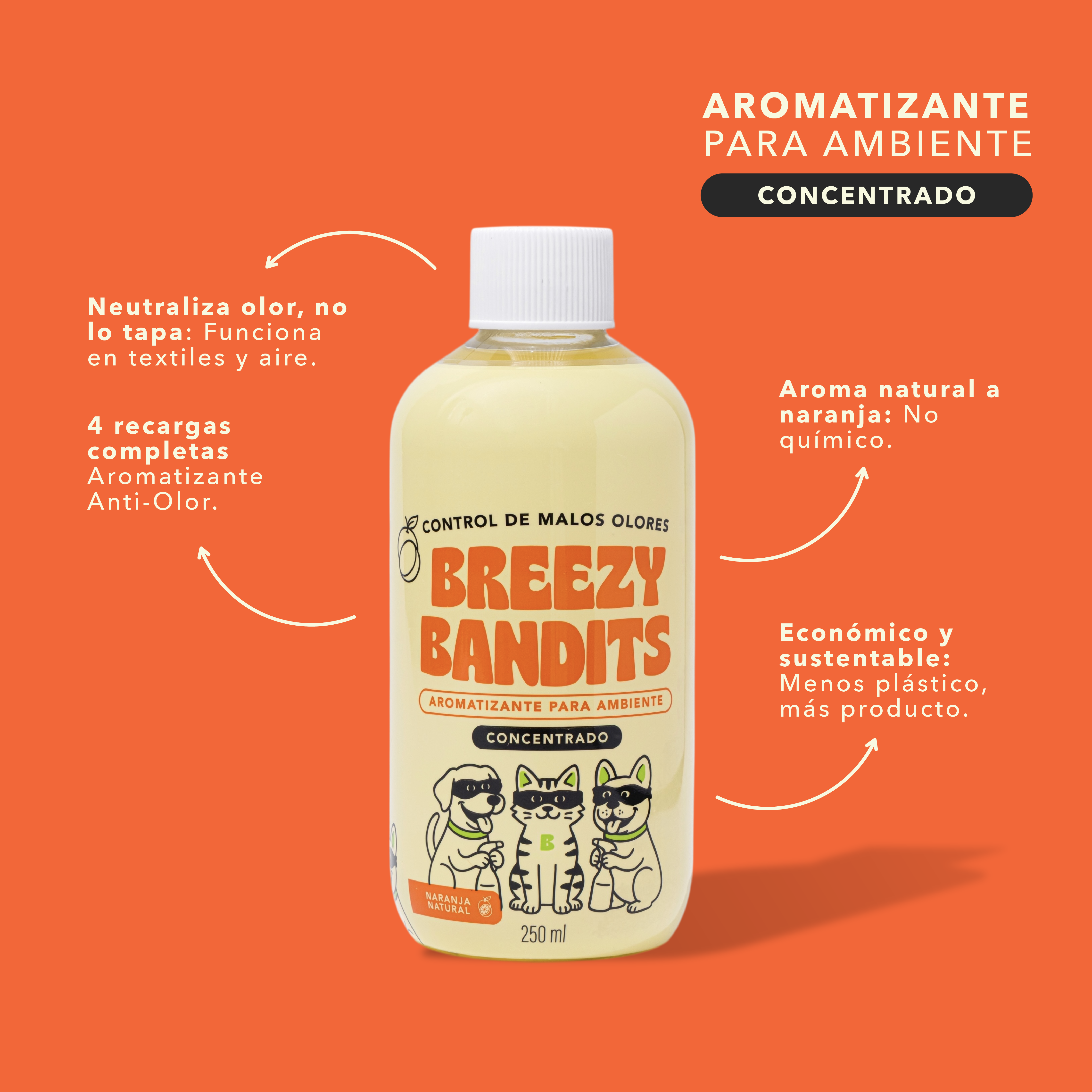 Concentrado Aromatizante Anti-Olor (Rinde x4) 250 ml
