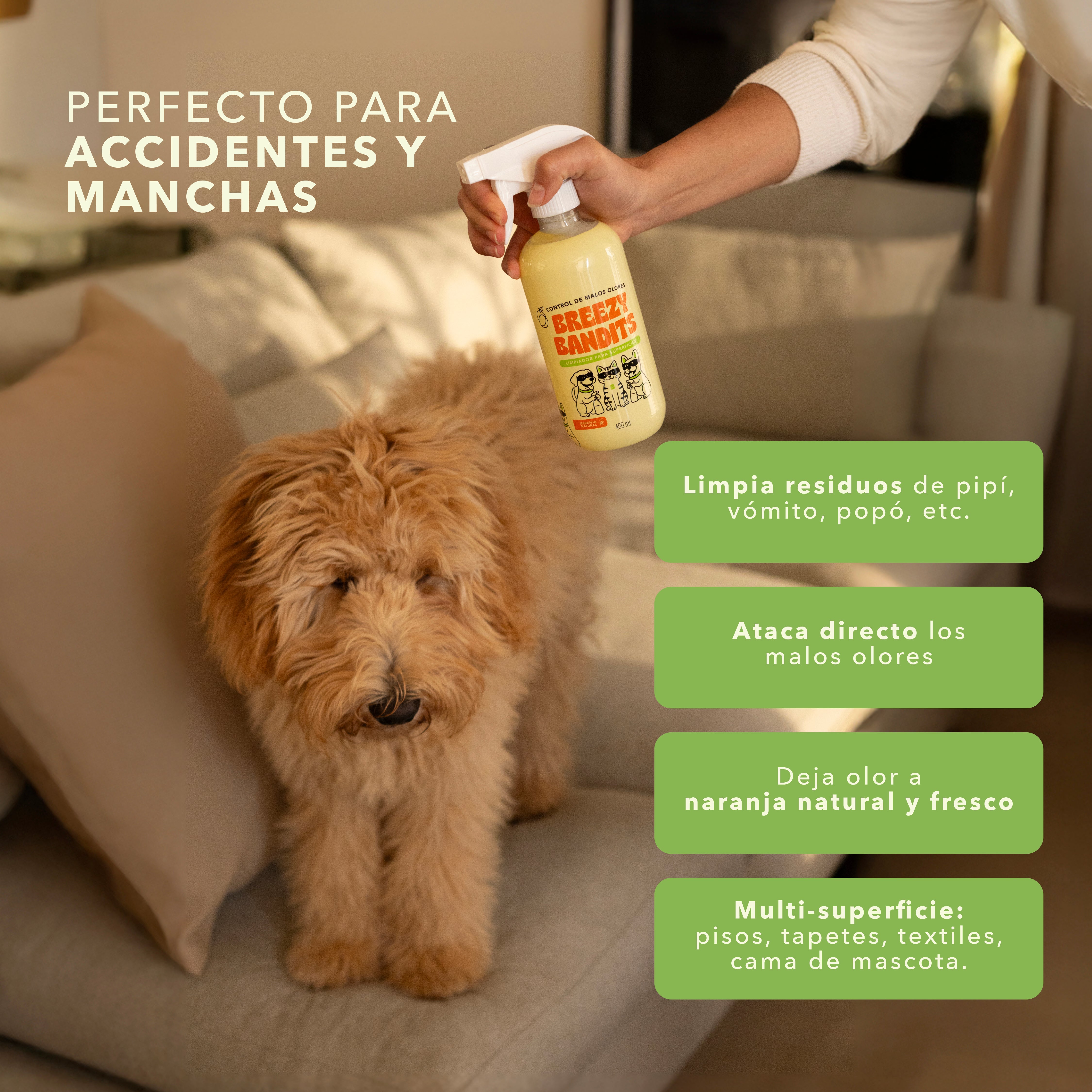 Starter Kit Anti-Olor: Limpia y Aromatiza