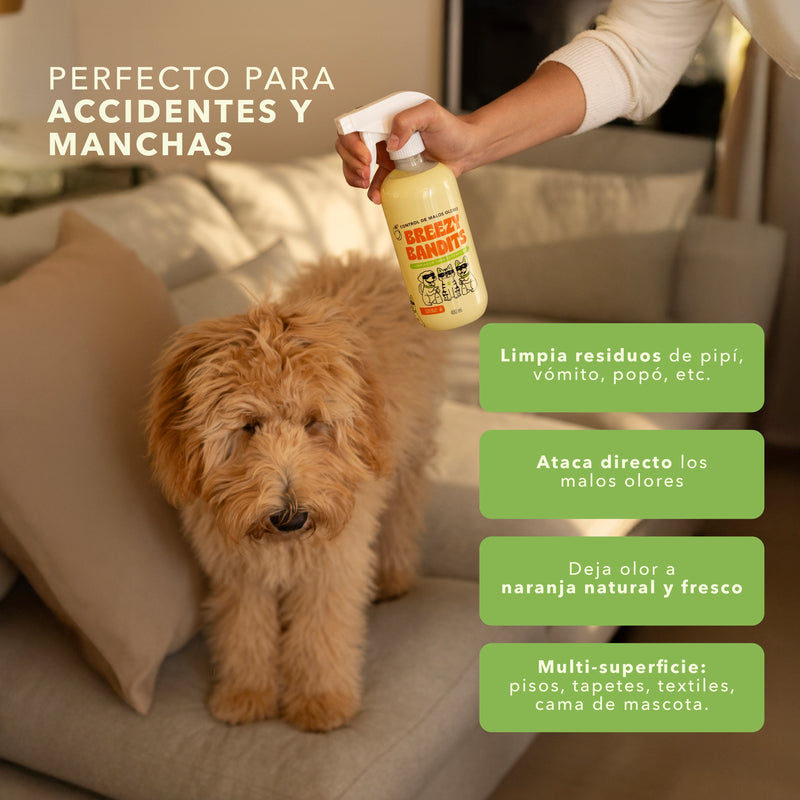 Starter Kit Anti-Olor: Limpia y Aromatiza