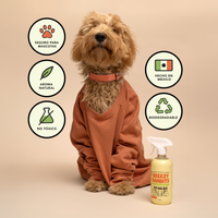 Starter Kit Anti-Olor: Limpia y Aromatiza