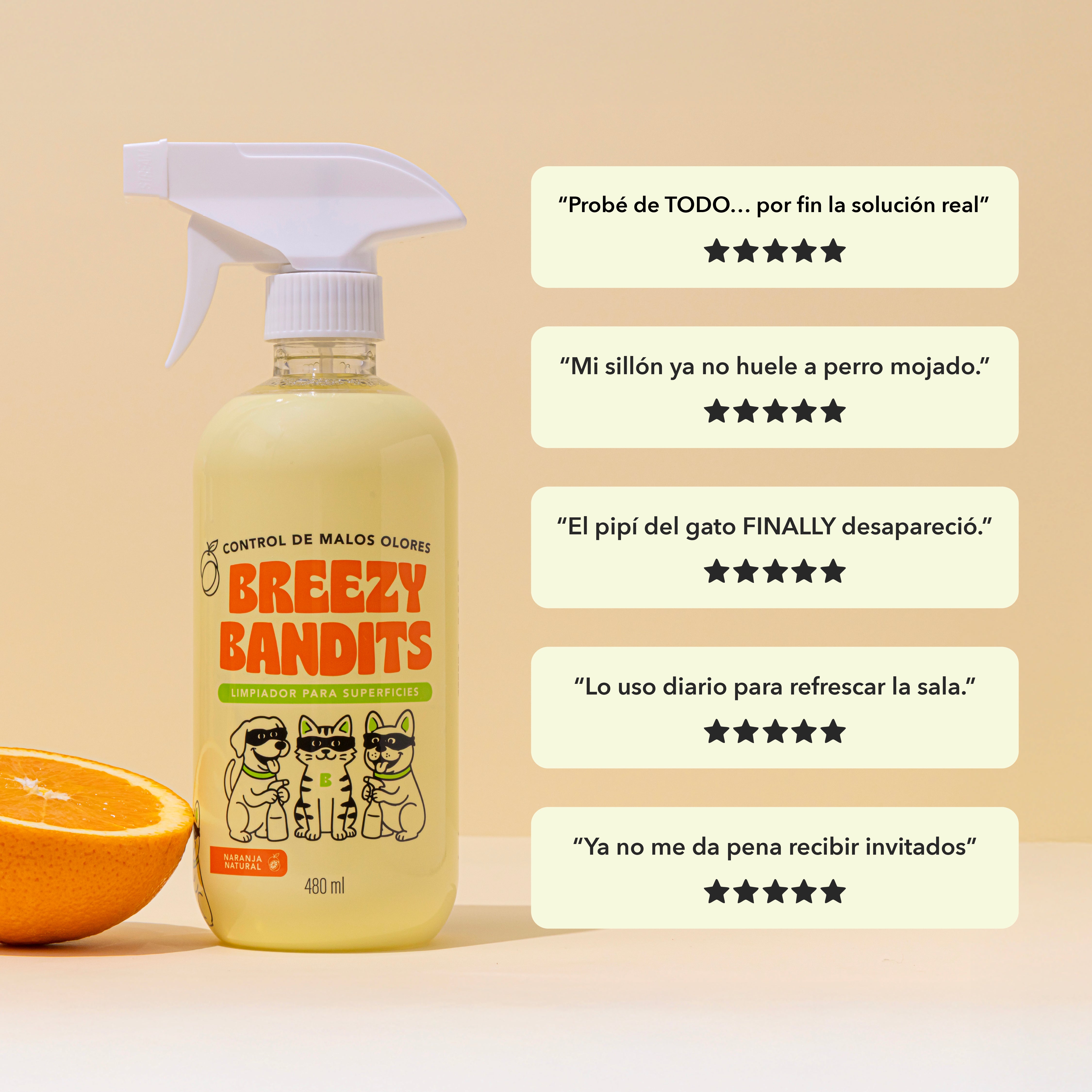 Starter Kit Anti-Olor: Limpia y Aromatiza