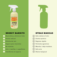 Starter Kit Anti-Olor: Limpia y Aromatiza