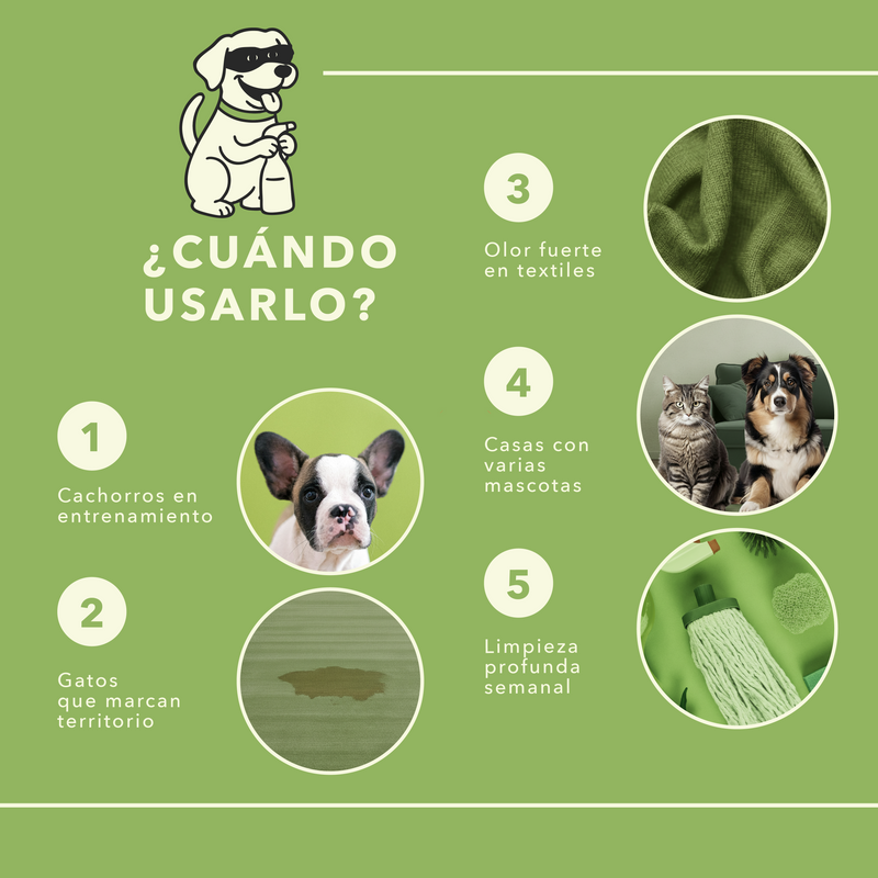 Starter Kit Anti-Olor: Limpia y Aromatiza