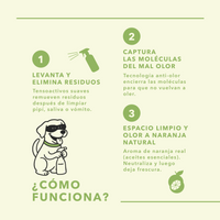 Concentrado Limpiador Anti-Olor (Rinde x4) 250 ml