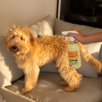 Kit Casa Limpia y Fresca